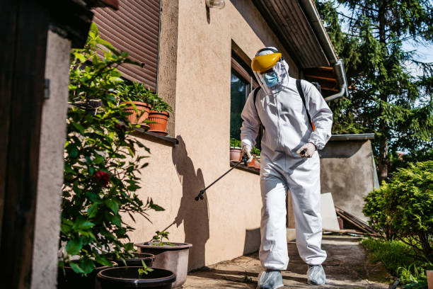 Best Pest Removal Services  in Lacy Lakeview, TX