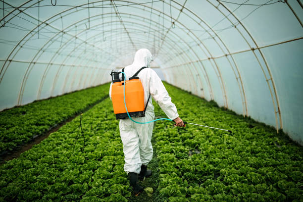 Best Pest Control Near Me  in Lacy Lakeview, TX