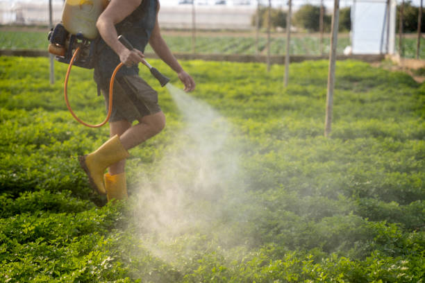 Best Wildlife Control Services  in Lacy Lakeview, TX