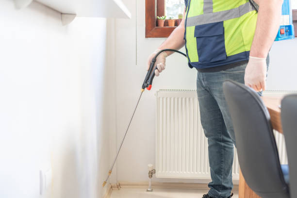 Best Exterminator Services  in Lacy Lakeview, TX
