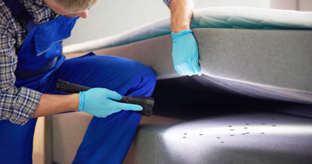 Wasp Removal Services in Lacy Lakeview, TX